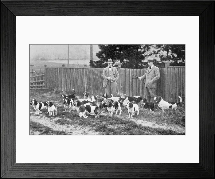 Framed Print : Cecil Aldin with his Basset hounds Framed Print : Cecil Aldin with his Basset hounds