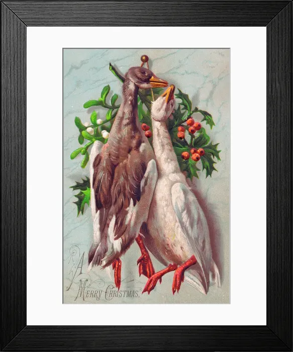Framed Print : Two geese with holly and mistletoe on a Christmas card Framed Print : Two geese with holly and mistletoe on a Christmas card