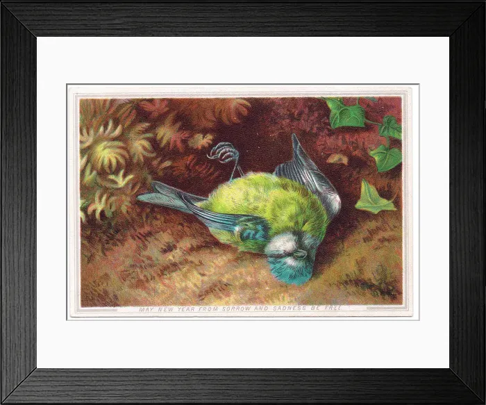 Framed Print : Late Victorian 1890s Card Cards Greetings Design Framed Print : Late Victorian 1890s Card Cards Greetings Design