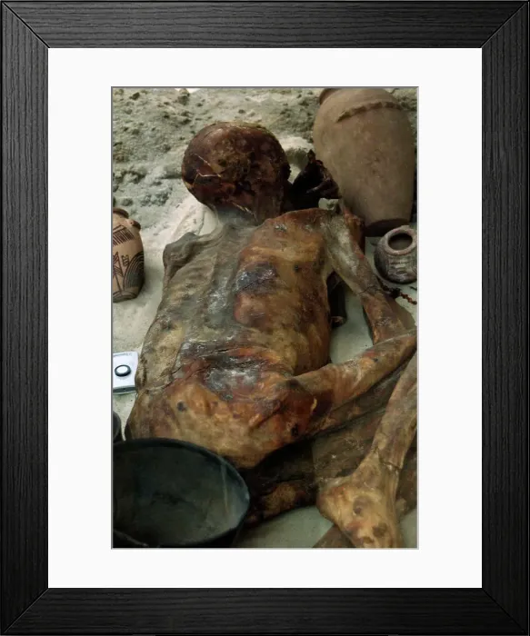 Framed Print : Mummy Ginger Framed Print : Mummy Ginger