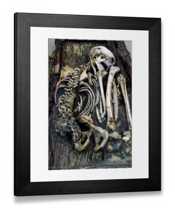 Framed Print : Egyptian skeleton Framed Print : Egyptian skeleton