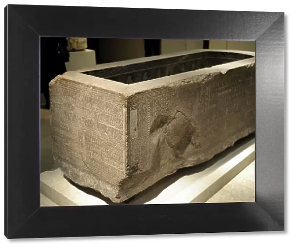 Djehapimu sarcophagus case. Egypt