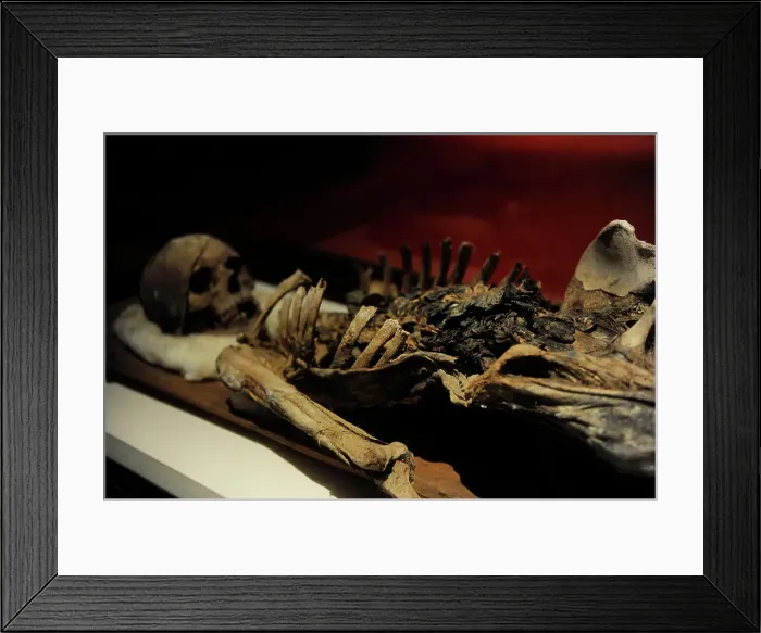 Framed Print : Mummy of King Tabnit (about 500 BC) Framed Print : Mummy of King Tabnit (about 500 BC)