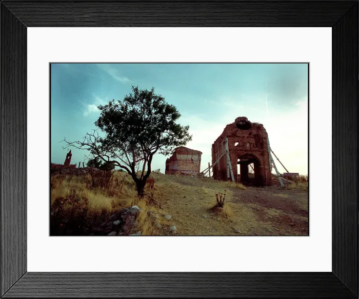 Framed Print : Tree and damaged buildings, Belchite, Spain Framed Print : Tree and damaged buildings, Belchite, Spain