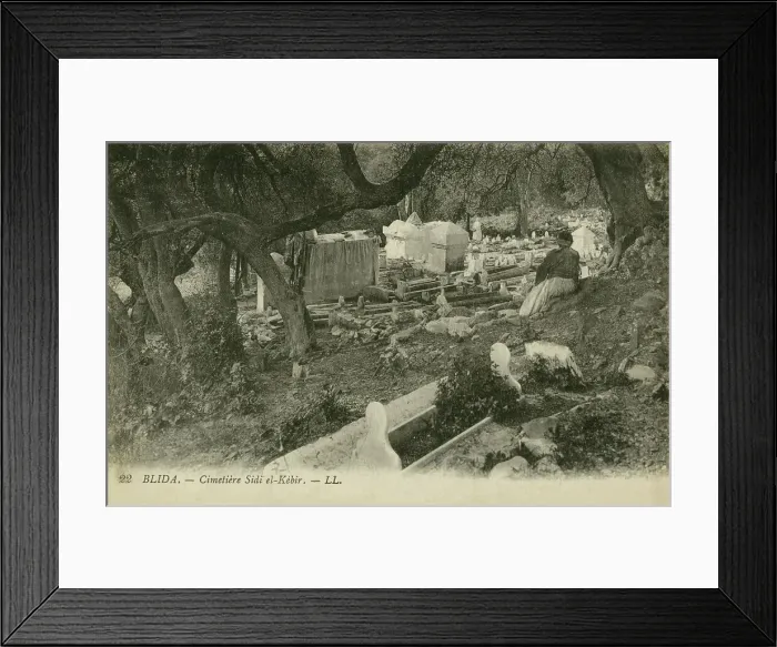 Framed Print : Sidi el-Kebir cemetery, Blida Framed Print : Sidi el-Kebir cemetery, Blida