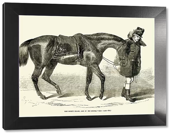Duke of Wellington's horse and groom