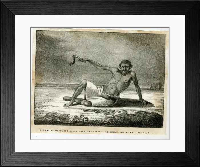 Framed Print : The Sheep-Eater of Hindustan Framed Print : The Sheep-Eater of Hindustan