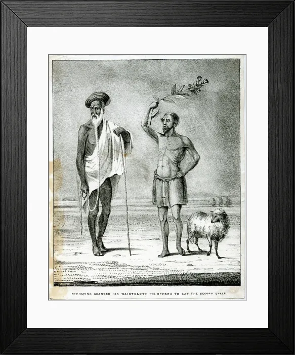 Framed Print : The Sheep-Eater of Hindustan Framed Print : The Sheep-Eater of Hindustan