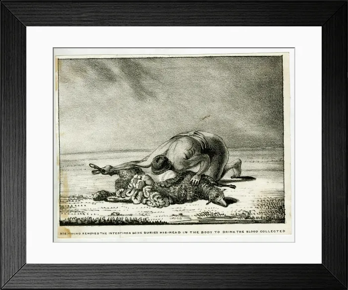 Framed Print : The Sheep-Eater of Hindustan Framed Print : The Sheep-Eater of Hindustan