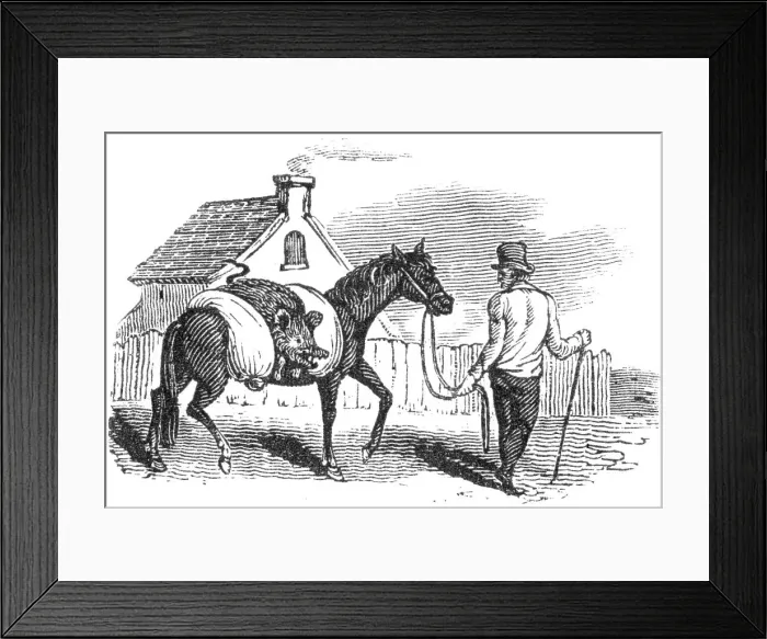 Framed Print : Man with horse and dead pig, c. 1800 Framed Print : Man with horse and dead pig, c. 1800