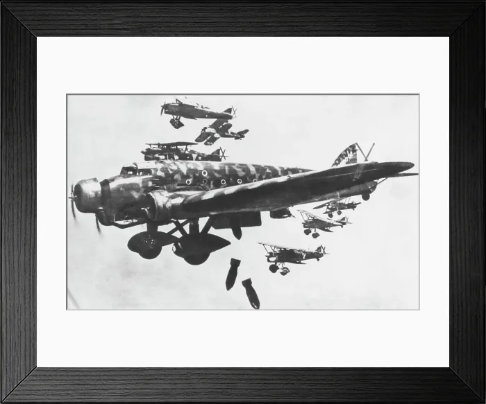 Framed Print : Savoia Marchetti SM-81 Framed Print : Savoia Marchetti SM-81