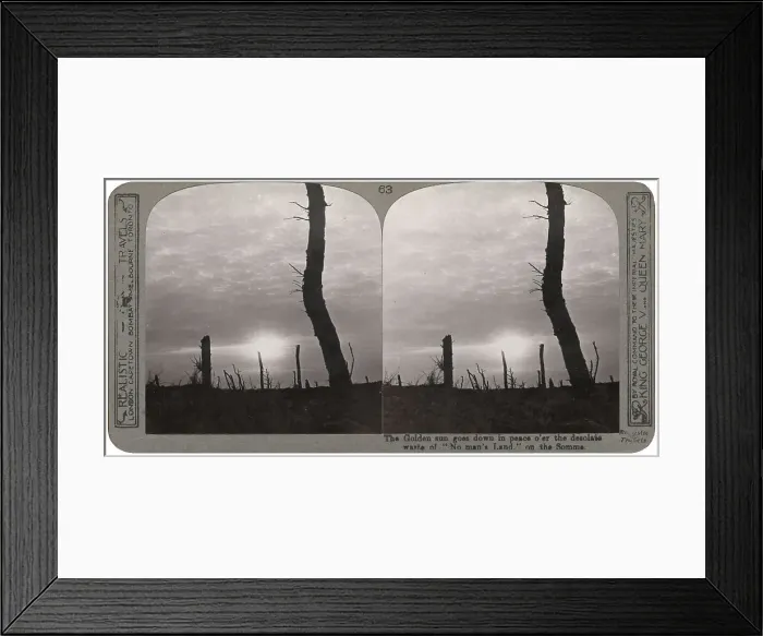 Framed Print : Tree stumps in no man's land at sunset, Somme, WW1 Framed Print : Tree stumps in no man's land at sunset, Somme, WW1