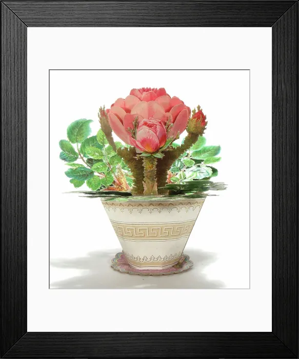 Framed Print : Arrangement of flowers on a cutout greetings card Framed Print : Arrangement of flowers on a cutout greetings card