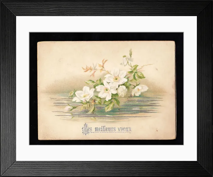 Framed Print : French greetings card with white flowers Framed Print : French greetings card with white flowers