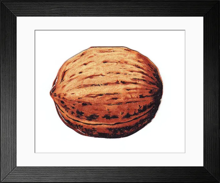 Framed Print : Greetings card in the shape of a walnut Framed Print : Greetings card in the shape of a walnut