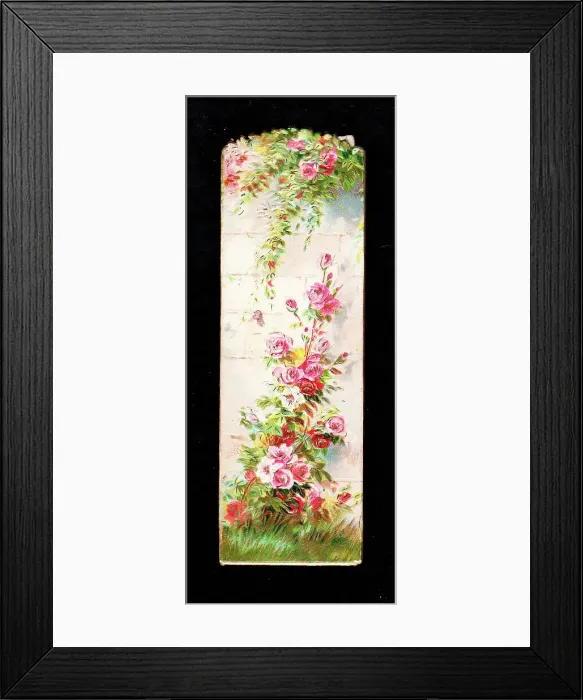 Framed Print : Pink roses on a garden wall on a greetings card Framed Print : Pink roses on a garden wall on a greetings card