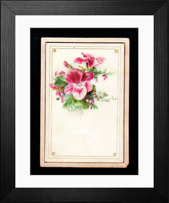 Framed Print : Pink variegated flowers and foliage on a greetings card Framed Print : Pink variegated flowers and foliage on a greetings card