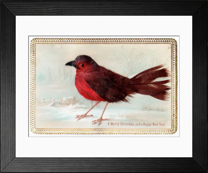 Framed Print : Robin on a Christmas and New Year card Framed Print : Robin on a Christmas and New Year card