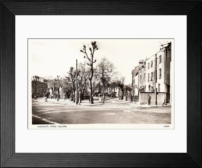 Framed Print : London Street Road Building Buildings Pollarded Framed Print : London Street Road Building Buildings Pollarded
