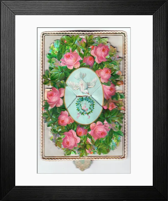 Framed Print : White dove and pink roses on a greetings card Framed Print : White dove and pink roses on a greetings card