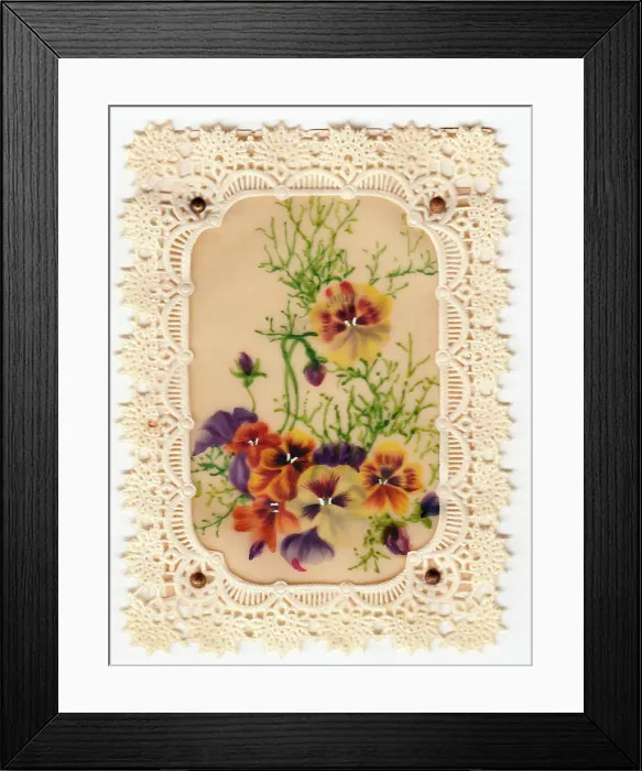 Framed Print : Variegated pansies on a lacy-edged greetings card Framed Print : Variegated pansies on a lacy-edged greetings card