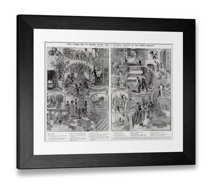 Framed Print : Rubber Tree to Finished Motor Tyres 1907 Framed Print : Rubber Tree to Finished Motor Tyres 1907