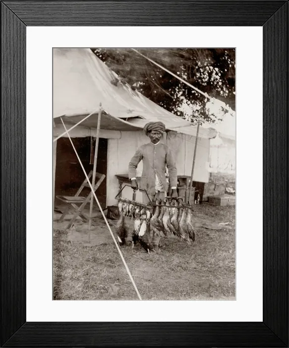 Framed Print : c. 1880s India - game birds after a day of shooting Framed Print : c. 1880s India - game birds after a day of shooting