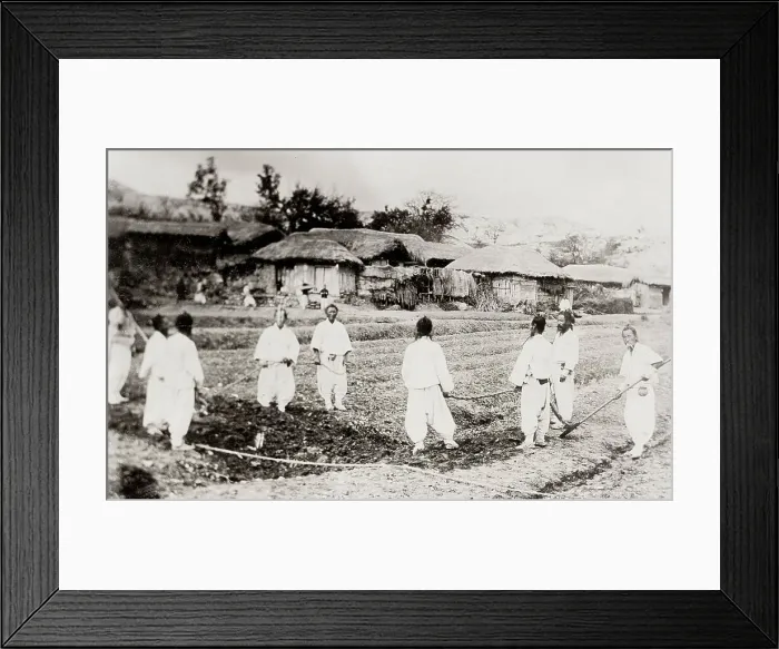 Framed Print : Korea: farmers in the field Framed Print : Korea: farmers in the field