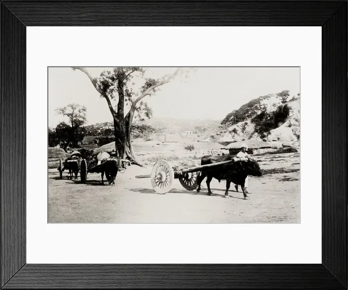 Framed Print : Korea: farm carts Framed Print : Korea: farm carts