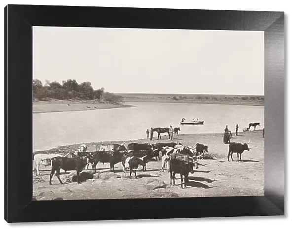 Vintage 19th century photograph: bend in the Vaal River, South Africa