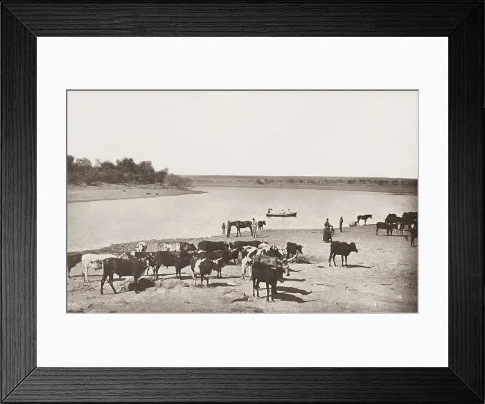 Framed Print : Vintage 19th century photograph: bend in the Vaal River, South Africa Framed Print : Vintage 19th century photograph: bend in the Vaal River, South Africa
