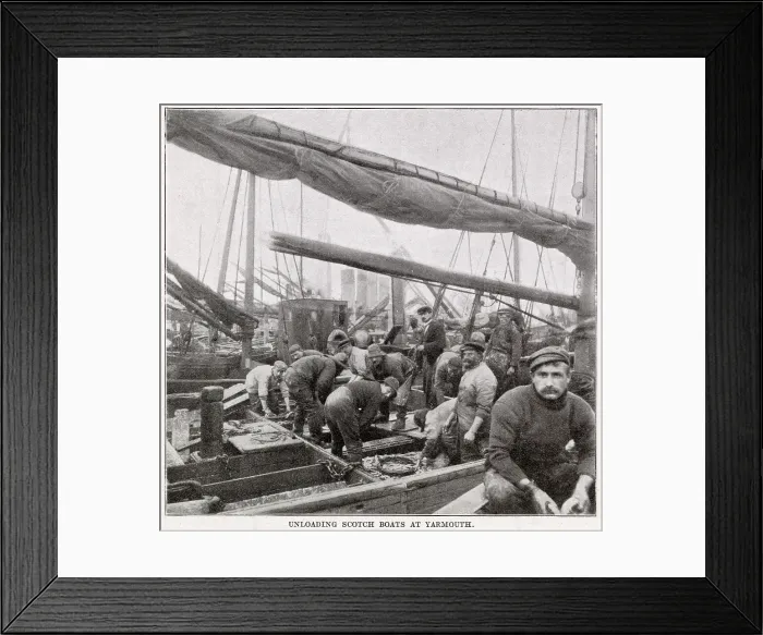 Framed Print : Unload Scotch Boats at Great Yarmouth. Date: November 1902 Framed Print : Unload Scotch Boats at Great Yarmouth. Date: November 1902