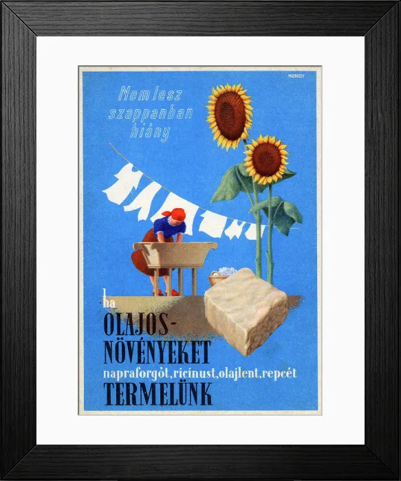 Framed Print : Hungarian public information card - grow oil seed for soap Framed Print : Hungarian public information card - grow oil seed for soap