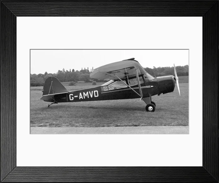 Framed Print : Taylorcraft Auster 5 G-AMVD Framed Print : Taylorcraft Auster 5 G-AMVD