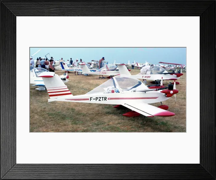 Framed Print : Colomban MC-15Z Cri-Cri F-PZTR Framed Print : Colomban MC-15Z Cri-Cri F-PZTR