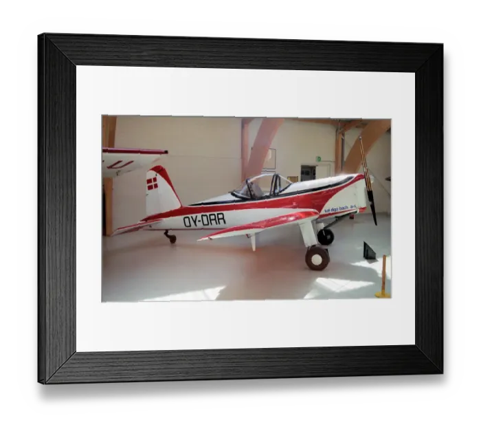 Framed Print : SAI KZ. VIII OY-DRR