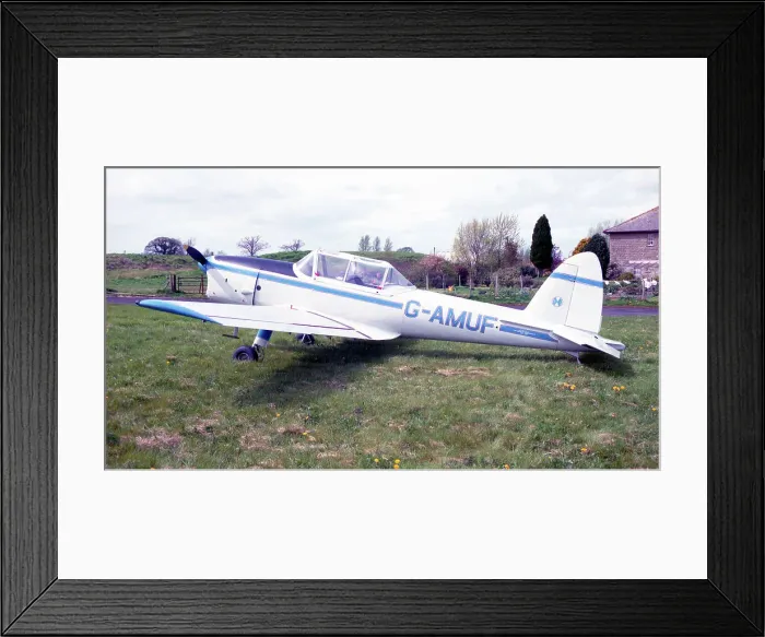 Framed Print : de Havilland DHC-1 Chipmunk 21 G-AMUF Framed Print : de Havilland DHC-1 Chipmunk 21 G-AMUF