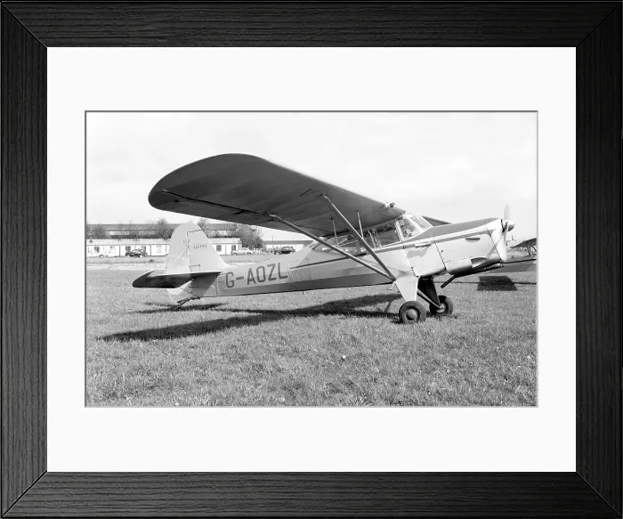 Framed Print : Auster J-5Q Alpine G-AOZL Framed Print : Auster J-5Q Alpine G-AOZL