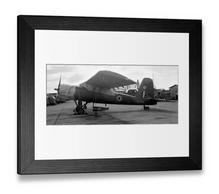 Framed Print : Scottish Aviation Pioneer CC. 1 XL558 Framed Print : Scottish Aviation Pioneer CC. 1 XL558