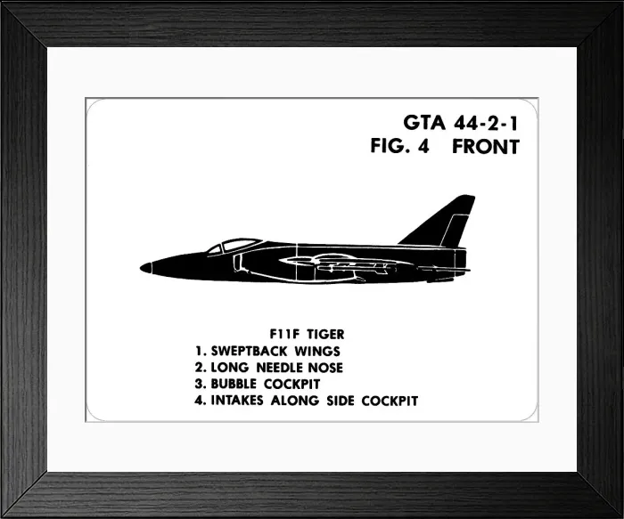 Framed Print : 4 F11F Tiger Framed Print : 4 F11F Tiger