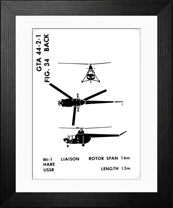 Framed Print : 34 a Mi-1 Hare Framed Print : 34 a Mi-1 Hare