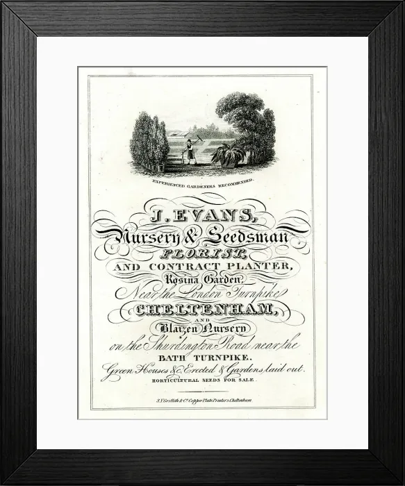 Framed Print : Advert, J Evans, Nursery & Seedsman Framed Print : Advert, J Evans, Nursery & Seedsman