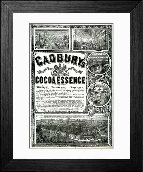Framed Print : Advert, Cadbury's Cocoa Essence, Bournville Framed Print : Advert, Cadbury's Cocoa Essence, Bournville