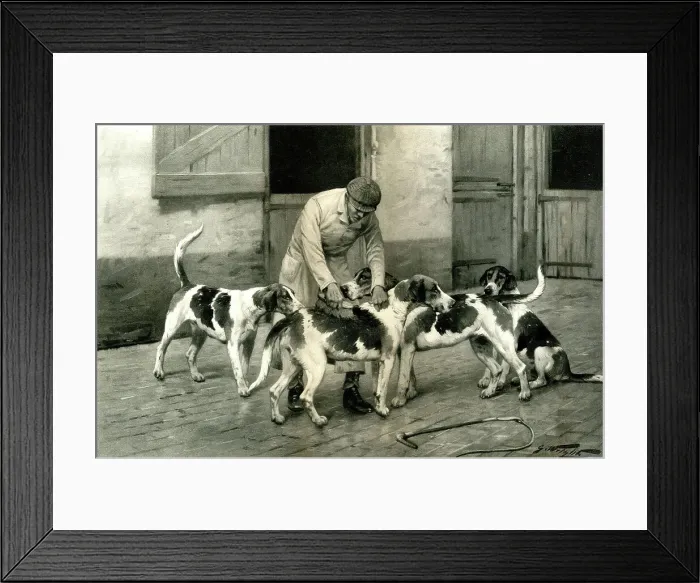 Framed Print : Dog grooming, English Foxhounds at the Hunt Kennels Framed Print : Dog grooming, English Foxhounds at the Hunt Kennels