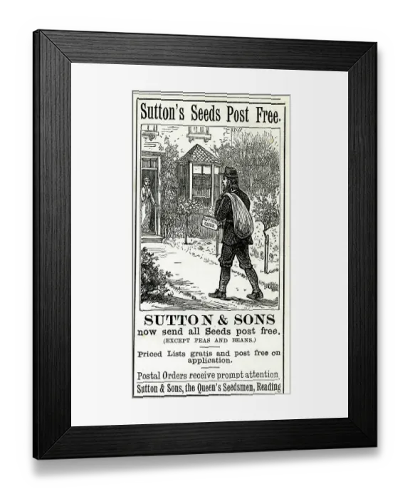 Framed Print : Advert, Sutton's Seeds Post Free Framed Print : Advert, Sutton's Seeds Post Free