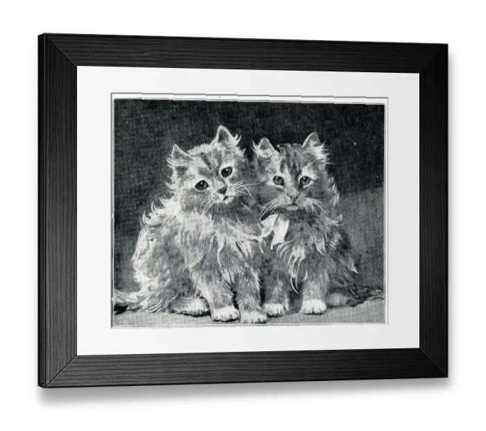 Framed Print : Two Kittens by Louis Wain Framed Print : Two Kittens by Louis Wain