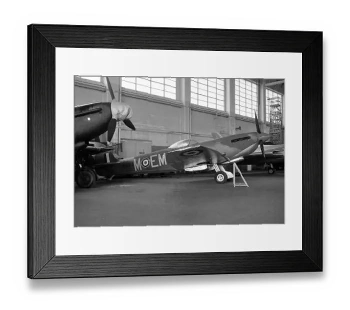 Framed Print : Supermarine Spitfire LF Mk. XVIE TE184 M - EM Framed Print : Supermarine Spitfire LF Mk. XVIE TE184 M - EM