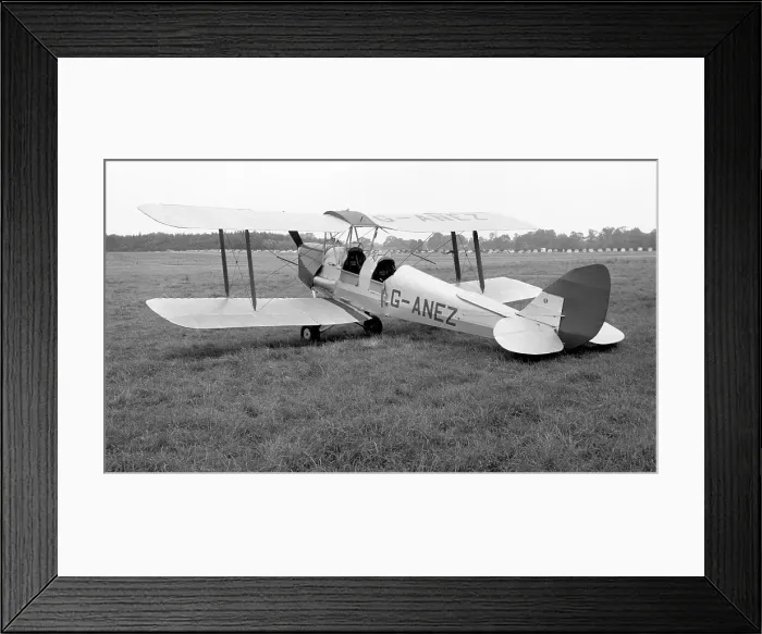 Framed Print : de Havilland DH. 82A Tiger Moth G-ANEZ Framed Print : de Havilland DH. 82A Tiger Moth G-ANEZ