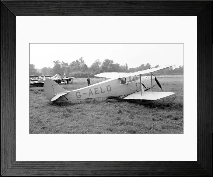 Framed Print : de Havilland DH. 87B Hornet Moth G-AELO Framed Print : de Havilland DH. 87B Hornet Moth G-AELO