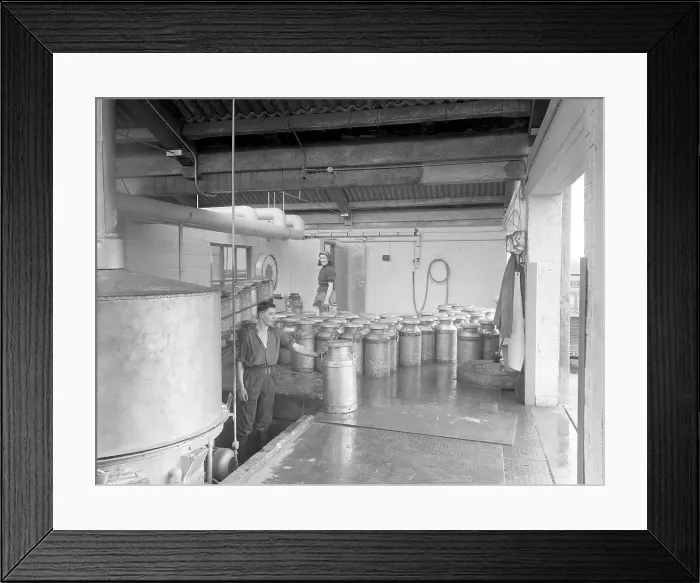 Framed Print : Milk Production in the 1960s: Churn delivery at the dairy Framed Print : Milk Production in the 1960s: Churn delivery at the dairy